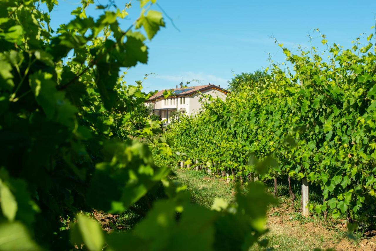 Relais La Dolce Vite Villa San Vendemiano Kültér fotó