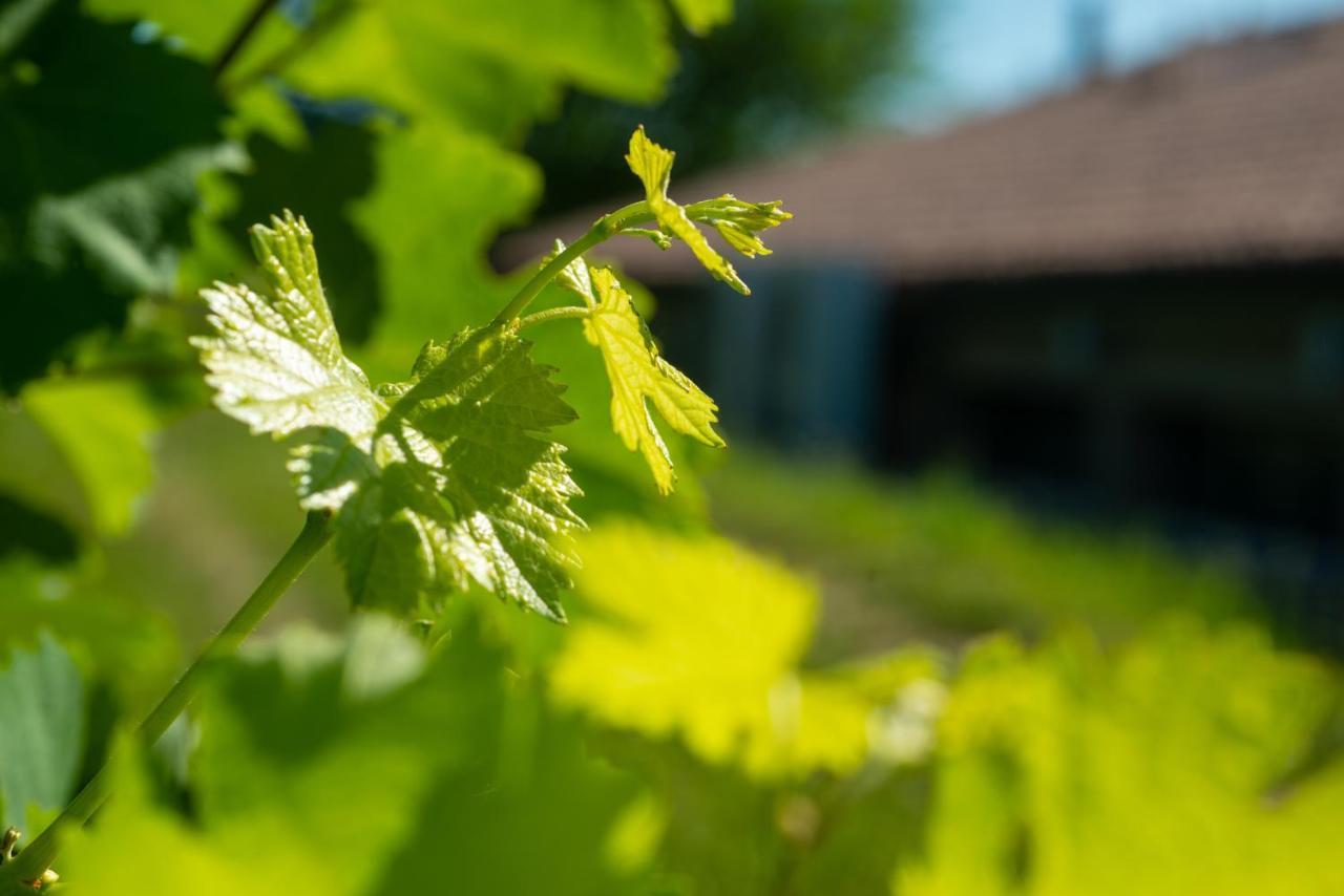 Relais La Dolce Vite Villa San Vendemiano Kültér fotó