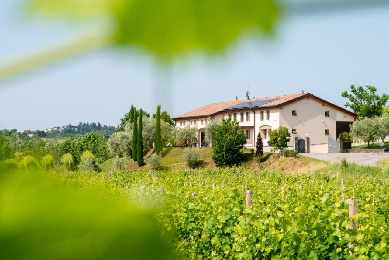 Relais La Dolce Vite Villa San Vendemiano Kültér fotó